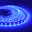 50BL Лента светодиодная в блистере, 12В, 14,4Вт/м, smd 5050, 60 д/м, IP20, 5м. синий 50BL Лента светодиодная в блистере, 12В, 14,4Вт/м, smd 5050, 60 д/м, IP20, 5м. синий