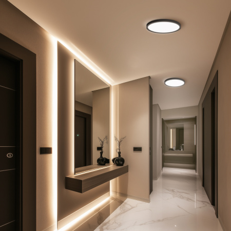 18-127 Светильник светодиодный, накладной, СПИН, 24Вт, 230В/50Гц, 2400лм, 4000К, IP40, ø230х25 мм, круг, черный, монтажная платформа в комплекте