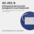 06-38 Светодиодная панель накладная круглая 220В,15Вт,1200Лм,Ø145, ал.корпус, изол.драйвер,ДН