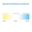 10-65 Комплект светодиодной ленты 12В с аксессуарами (блок, коннектор), 4.8Вт/м, smd 3528, 60 д/м, IP20, 6500К, 1 м, холодный белый