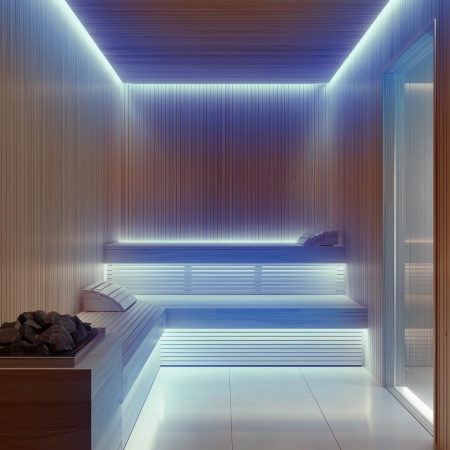 00-327 Светодиодная лента для бани и сауны 5м, 24В, СТ, 14,4Вт/м, smd2835, 120д/м, IP68, син.