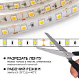 10-15 Комплект светодиодной ленты 12В с аксессуарами (блок, коннектор), smd 5050, 60 д/м, IP20, 5м., теплый белый