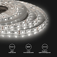 00-144 Светодиодная лента 12В, СТ, 14,4Вт/м, smd5050, 60д/м, IP65, 700Лм/м, ширина подложки 10мм, 5м, д/б, 4000К.