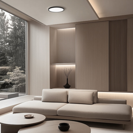 18-128 Светильник светодиодный, накладной, СПИН, 24Вт, 230В/50Гц, 2400лм, 6500К, IP40, ø230х25 мм, круг, черный, монтажная платформа в комплекте