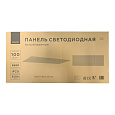 42-010 Светодиодная панель 100Вт, 5500Лм, 6500К, 595х1195х30мм.