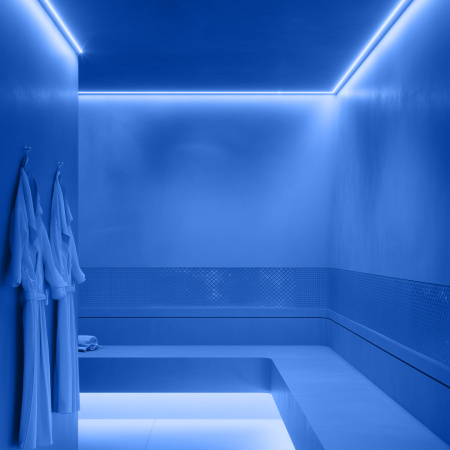 00-327 Светодиодная лента для бани и сауны 5м, 24В, СТ, 14,4Вт/м, smd2835, 120д/м, IP68, син.