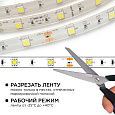 10-01 Комплект светодиодной ленты 12В с аксессуарами (блок, коннектор), smd 5050, 30 д/м, IP65, 5м, холодный белый