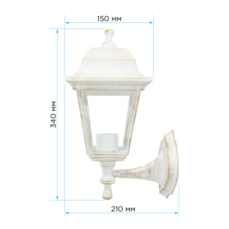 PHOTO_11-11БЕЛП_2