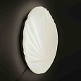 18-025 Светильник декоративный, настенно-потолочный, "Амелия", светодиодный, 18Вт, 1260Лм, корпус металл, плафон пластик, белый, 220В, Ø310х103мм, дневной белый, 4000К.