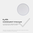 06-41 Светодиодная панель накладная круглая 220В, 24Вт, CRI:80Ra, 1920Лм, Ø220 мм,  алюминиевый корпус, изолированный драйвер, 2700К