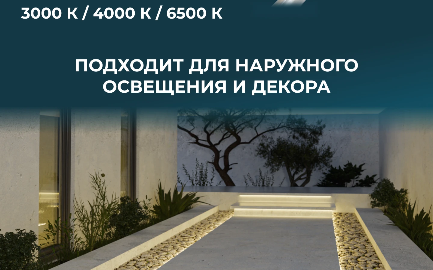 RICH_17-56_1