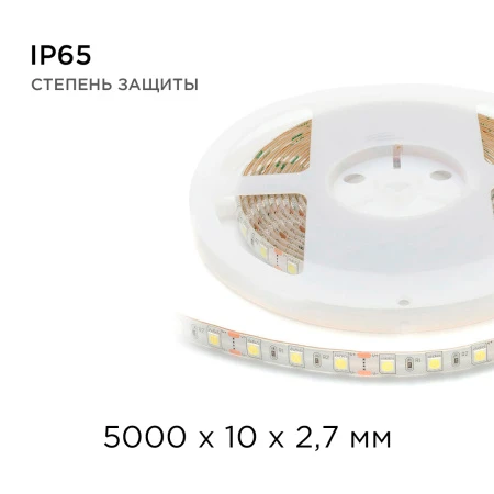 PHOTO_10BL_6
