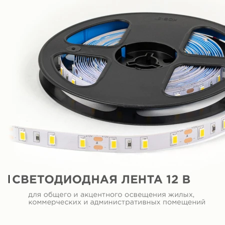 PHOTO_LSE-288_1