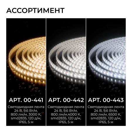 00-443_17