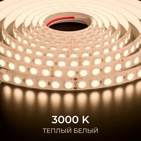 00-506_10