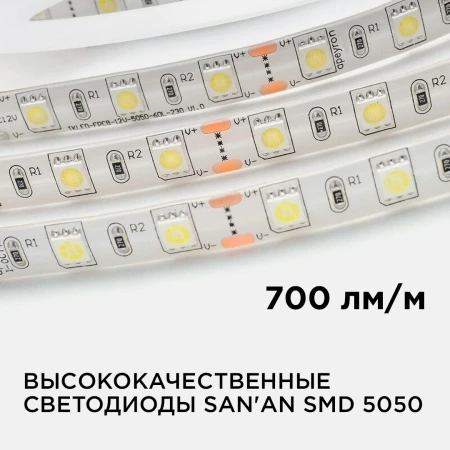 PHOTO_10BL_2