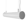 R30-100 PNG