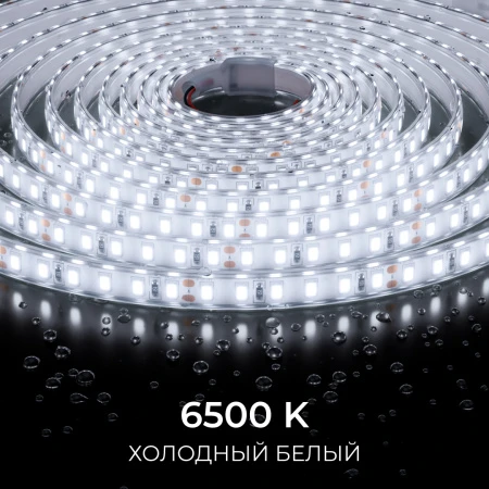 00-443_10