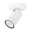 915005530501_01