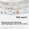 PHOTO_38BL_2