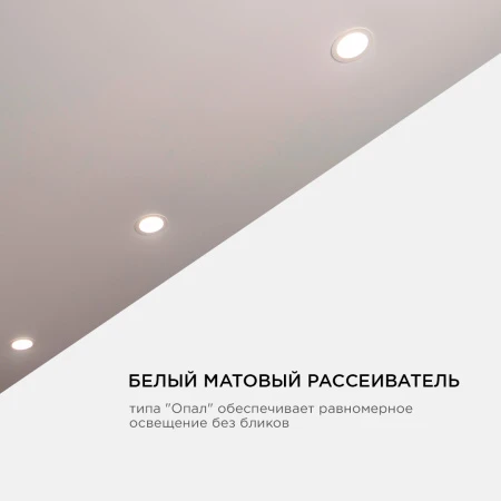 PHOTO_LP-11_6